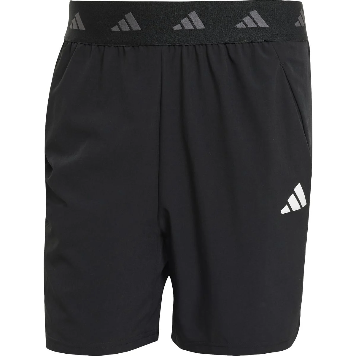 Gym+ Herren Shorts, schwarz XS7"
