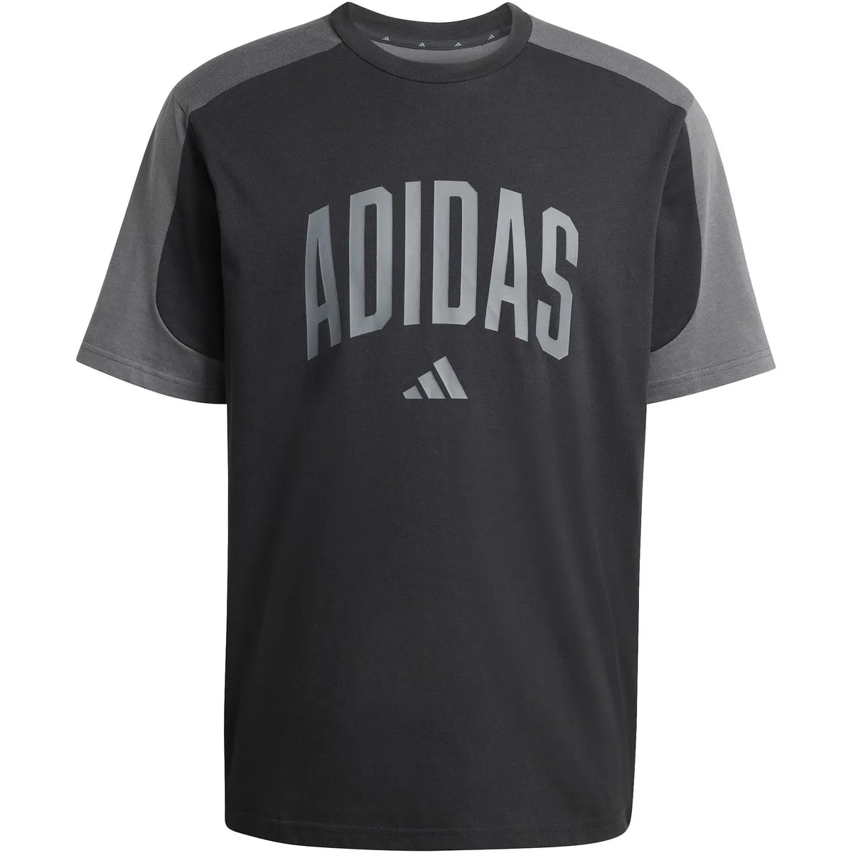 Collegiate T-Shirt Herren T-Shirt, schwarz L