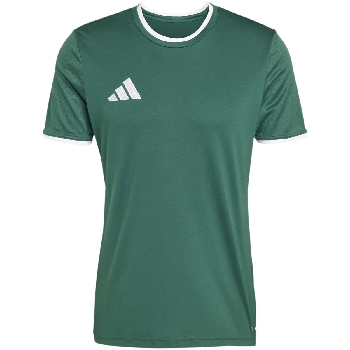Entrada26 Herren Trikot, grün S