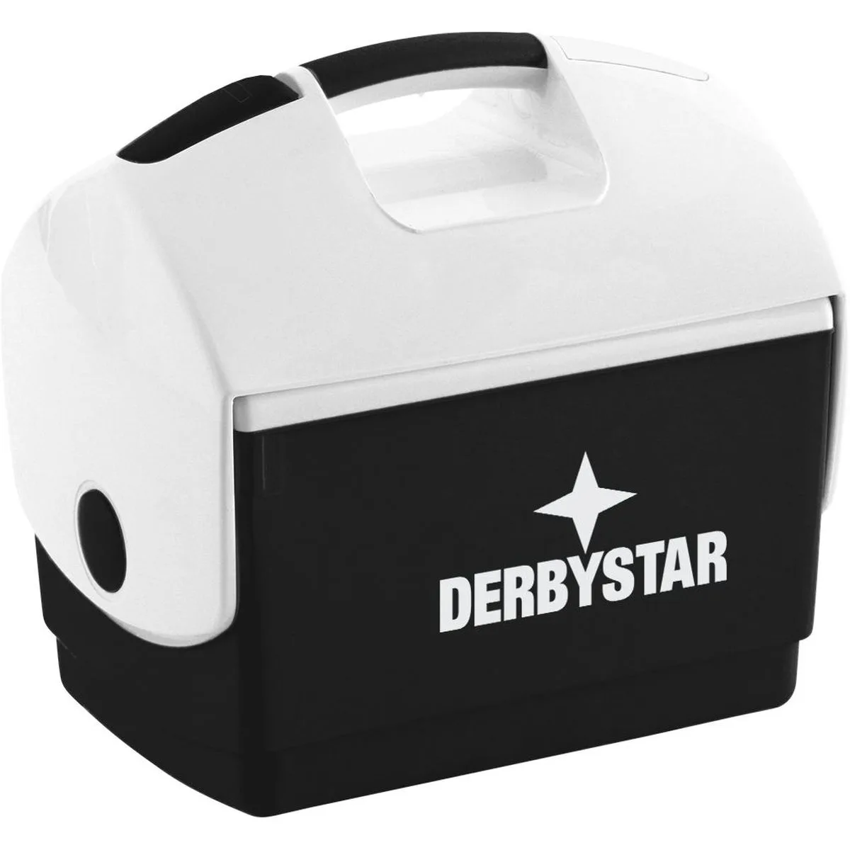 Derbystar Kühlbox schwarz