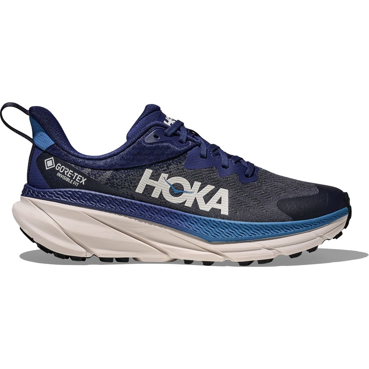 Challenger 7 GTX Herren Trailrunningschuhe, blau, Größe 45 ⅓ 45 ⅓