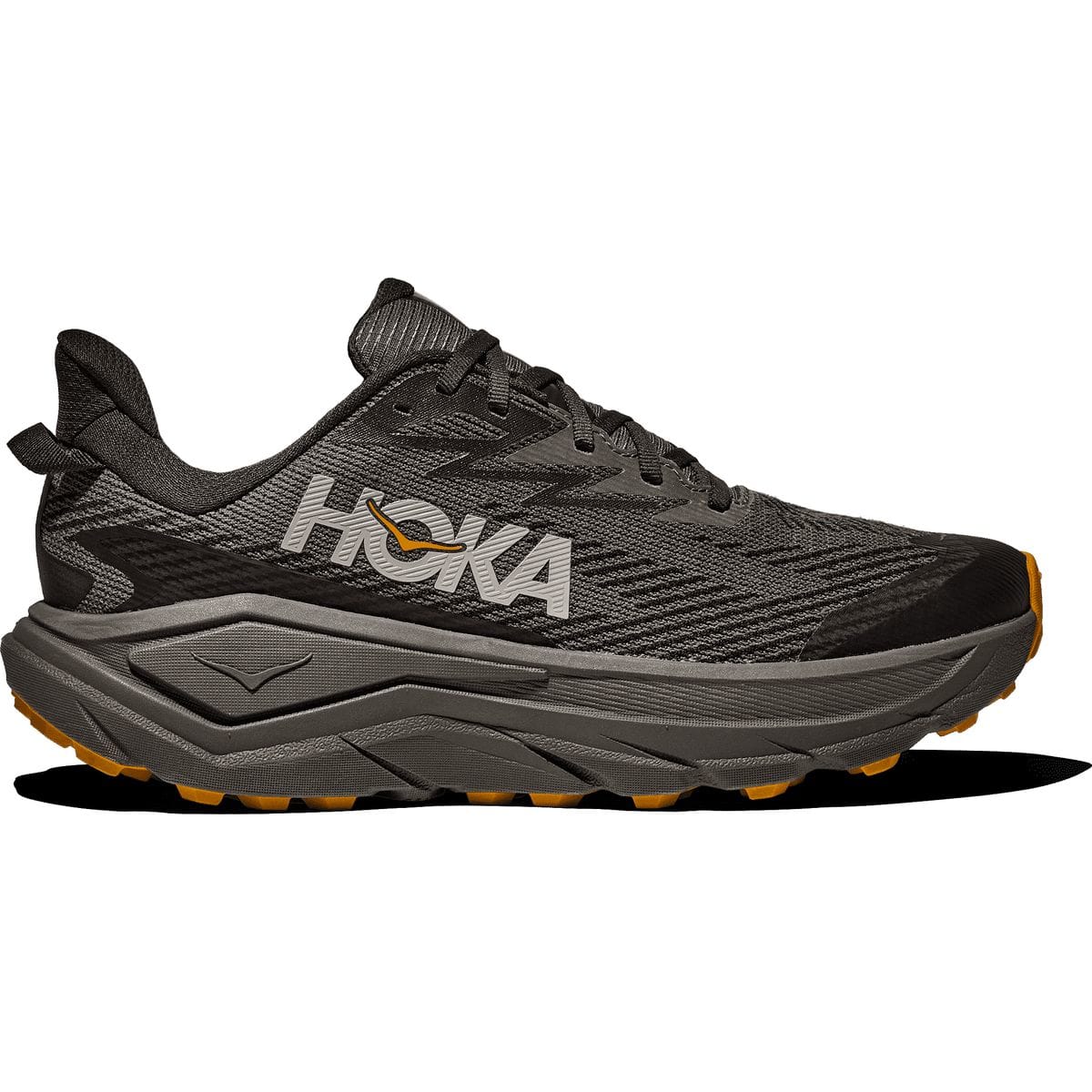 Challenger 8 GTX Herren Trailrunningschuhe, grau, Größe 48 48