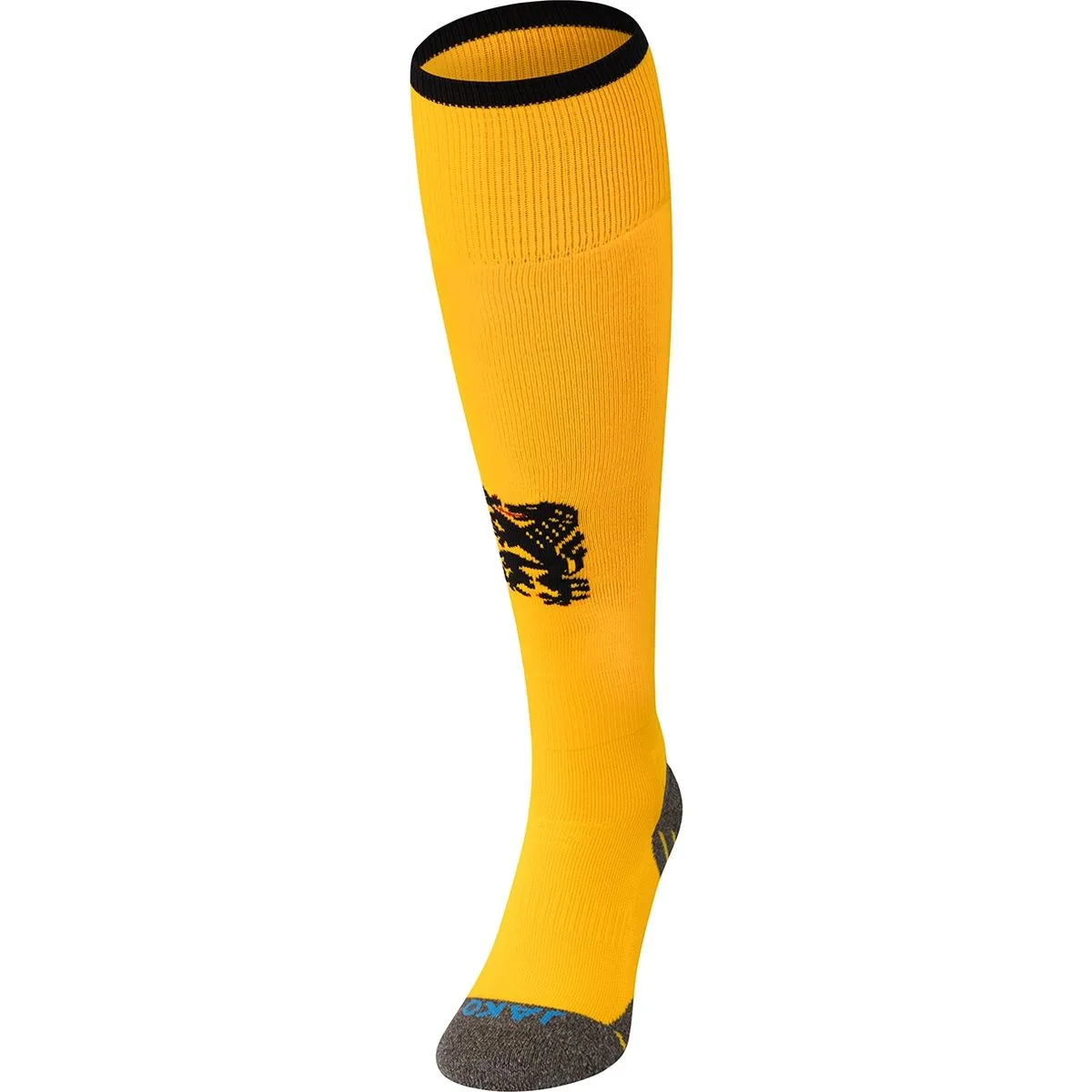 Dynamo Dresden Home Socken, gelb 5