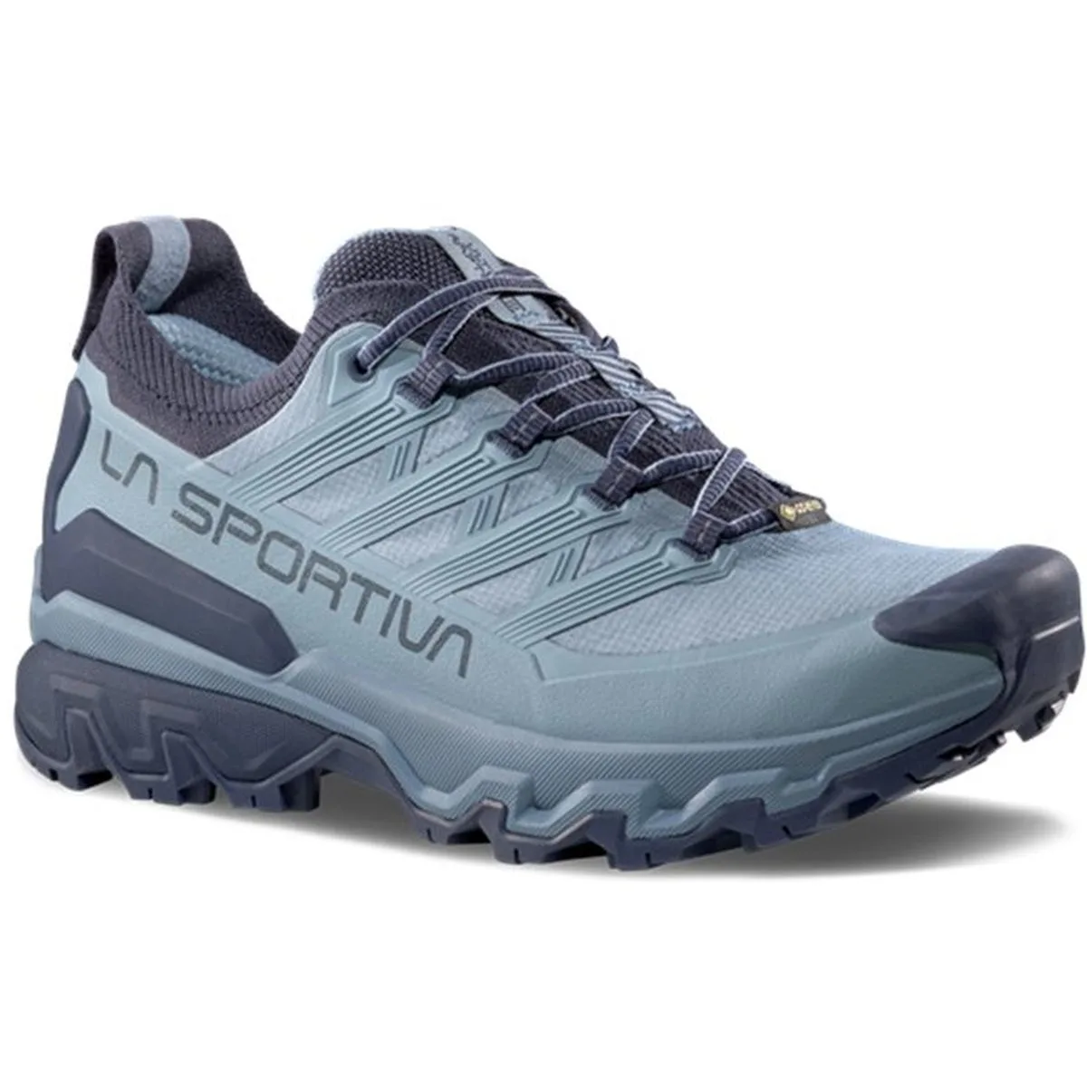 Ultra Raptor 3 GTX Damen Multifunktionsschuhe, blau, Größe 41 41
