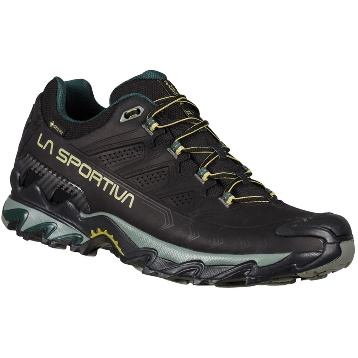 Ultra Raptor II Leather GTX Herren Multifunktionsschuhe, schwarz, Größe 47 ½ 47 ½