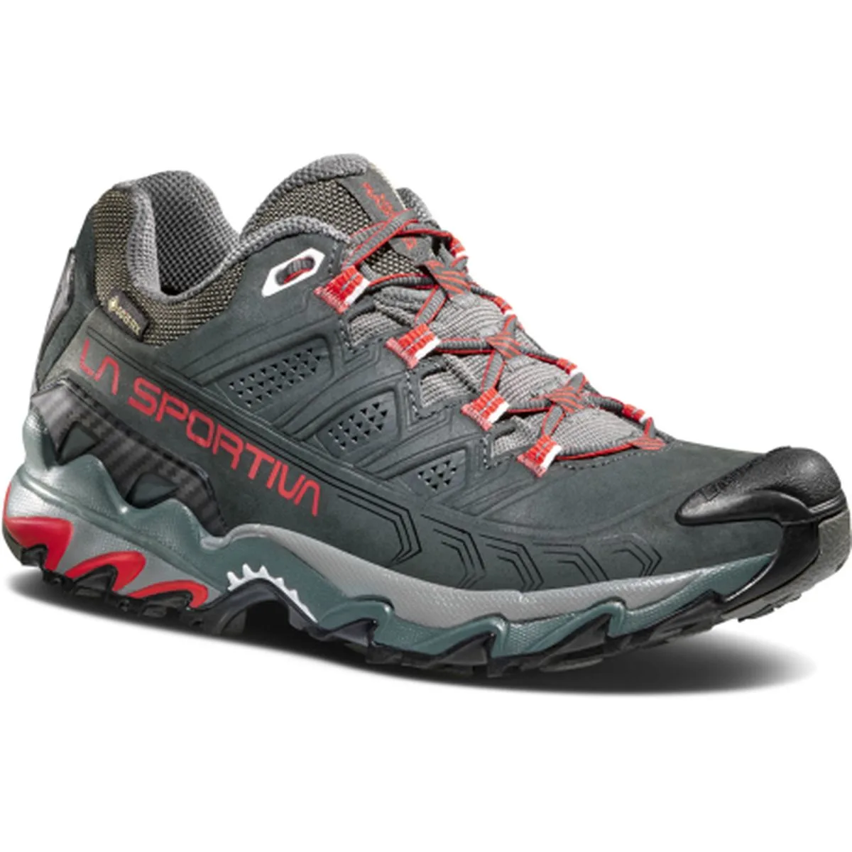 Ultra Raptor II Leather GTX Damen Multifunktionsschuhe, grau, Größe 40 40