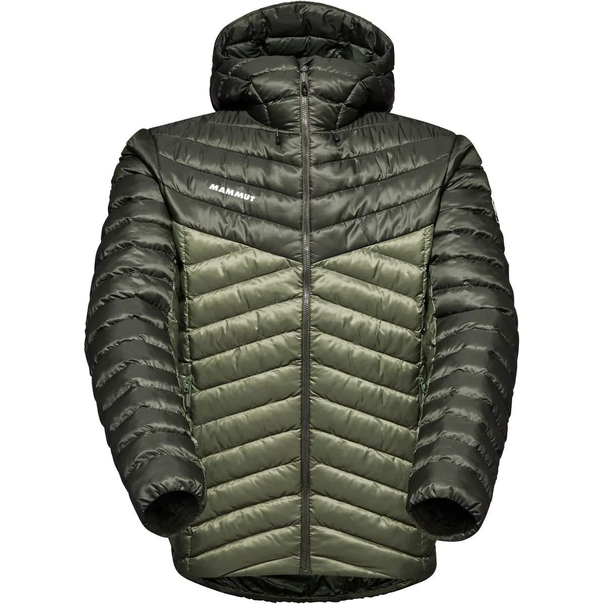 Albula In Hooded Herren Funktionsjacke, grün S