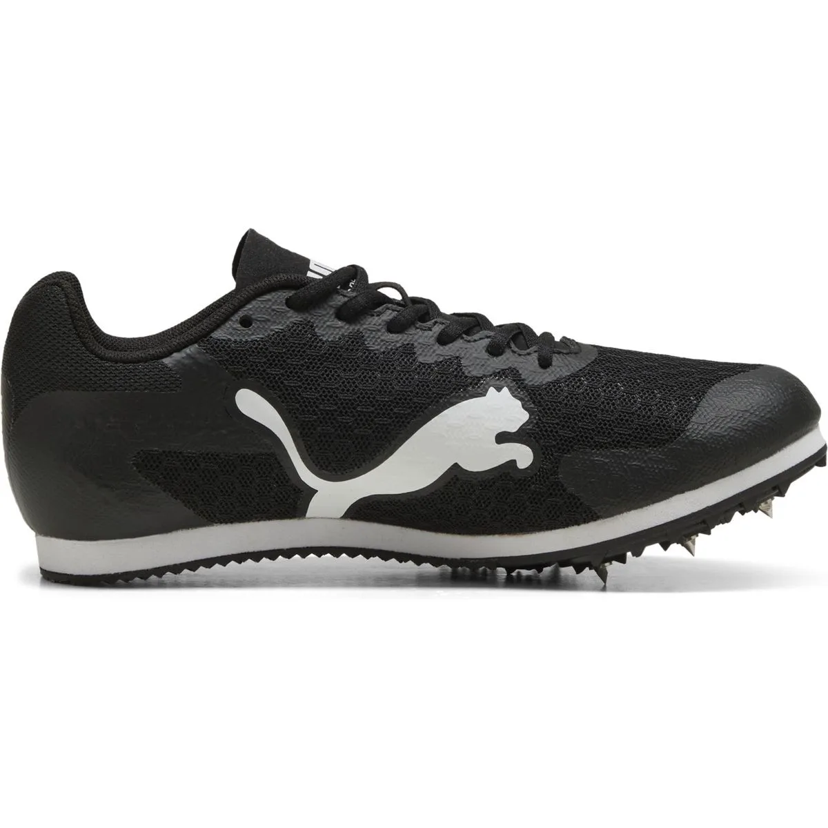 EvoSPEED Star 9 Kinder Leichtathletikschuhe, schwarz, Größe 37 ½ 37 ½