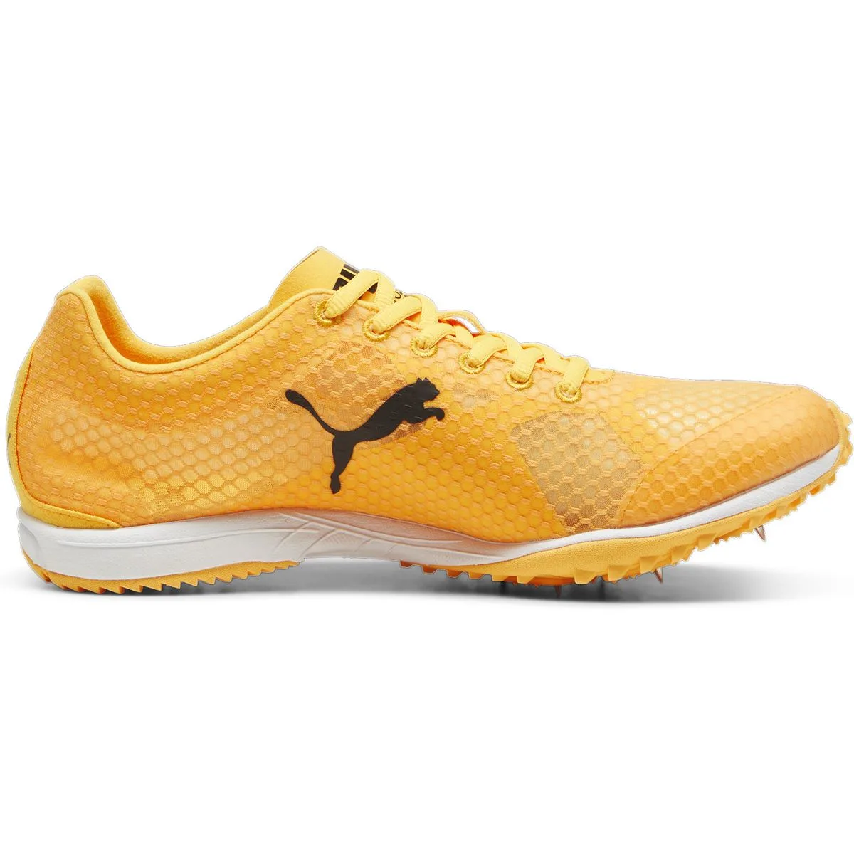 EvoSPEED Haraka 8 Leichtathletikschuhe, orange, Größe 38 ½ 38 ½