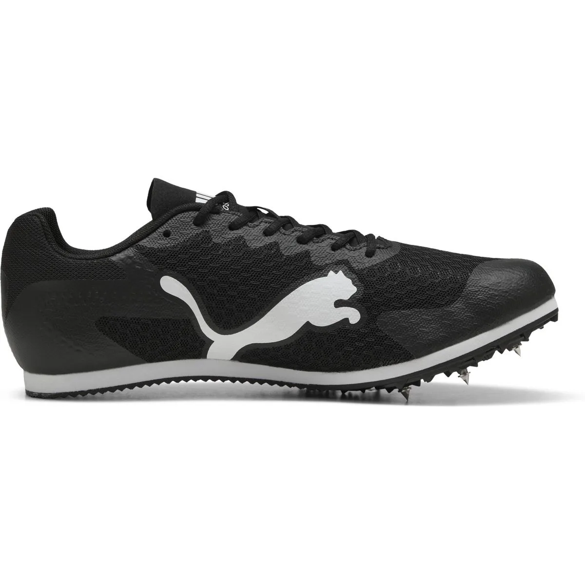 EvoSPEED Star 9 Leichtathletikschuhe, schwarz, Größe 44 ½ 44 ½