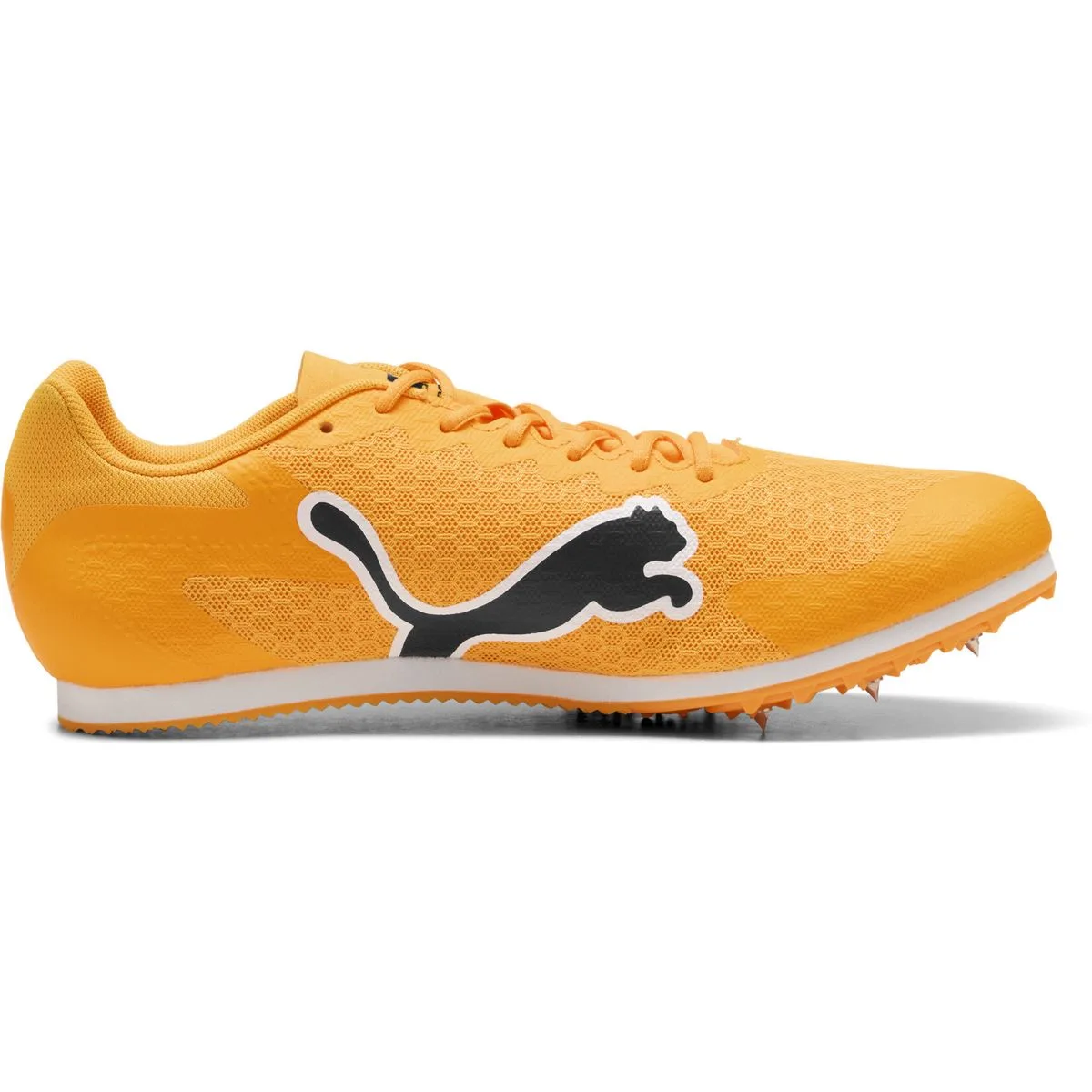 EvoSPEED Star 9 Leichtathletikschuhe, orange, Größe 45 45