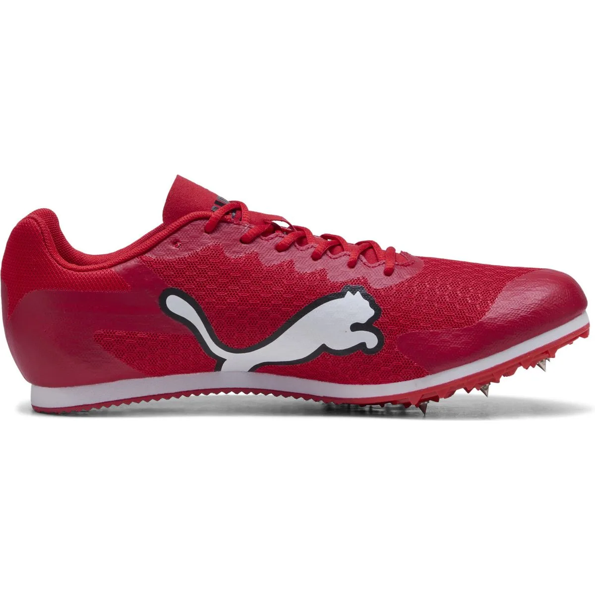 EvoSPEED Star 9 Leichtathletikschuhe, rot, Größe 42 ½ 42 ½