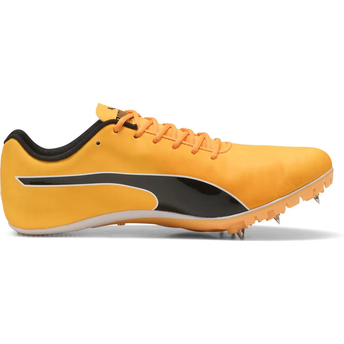 EvoSPEED Sprint 14.5 Leichtathletikschuhe, orange, Größe 40 40