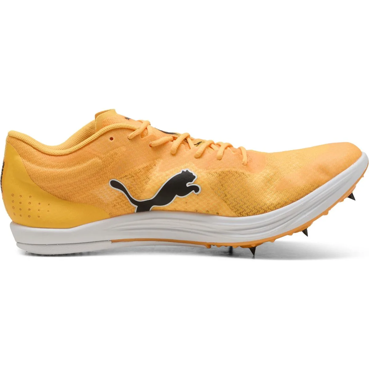 Evospeed Long Distance Leichtathletikschuhe, orange, Größe 38 ½ 38 ½
