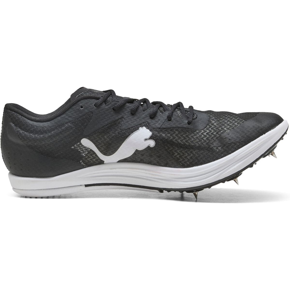 Evospeed Long Distance Leichtathletikschuhe, schwarz, Größe 38 ½ 38 ½