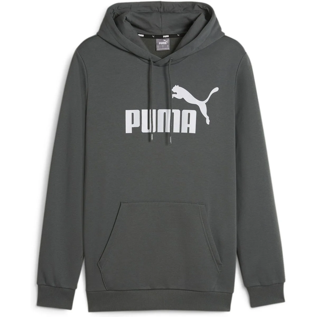 ESS Big Logo FL (s) Herren Kapuzensweater, grau S