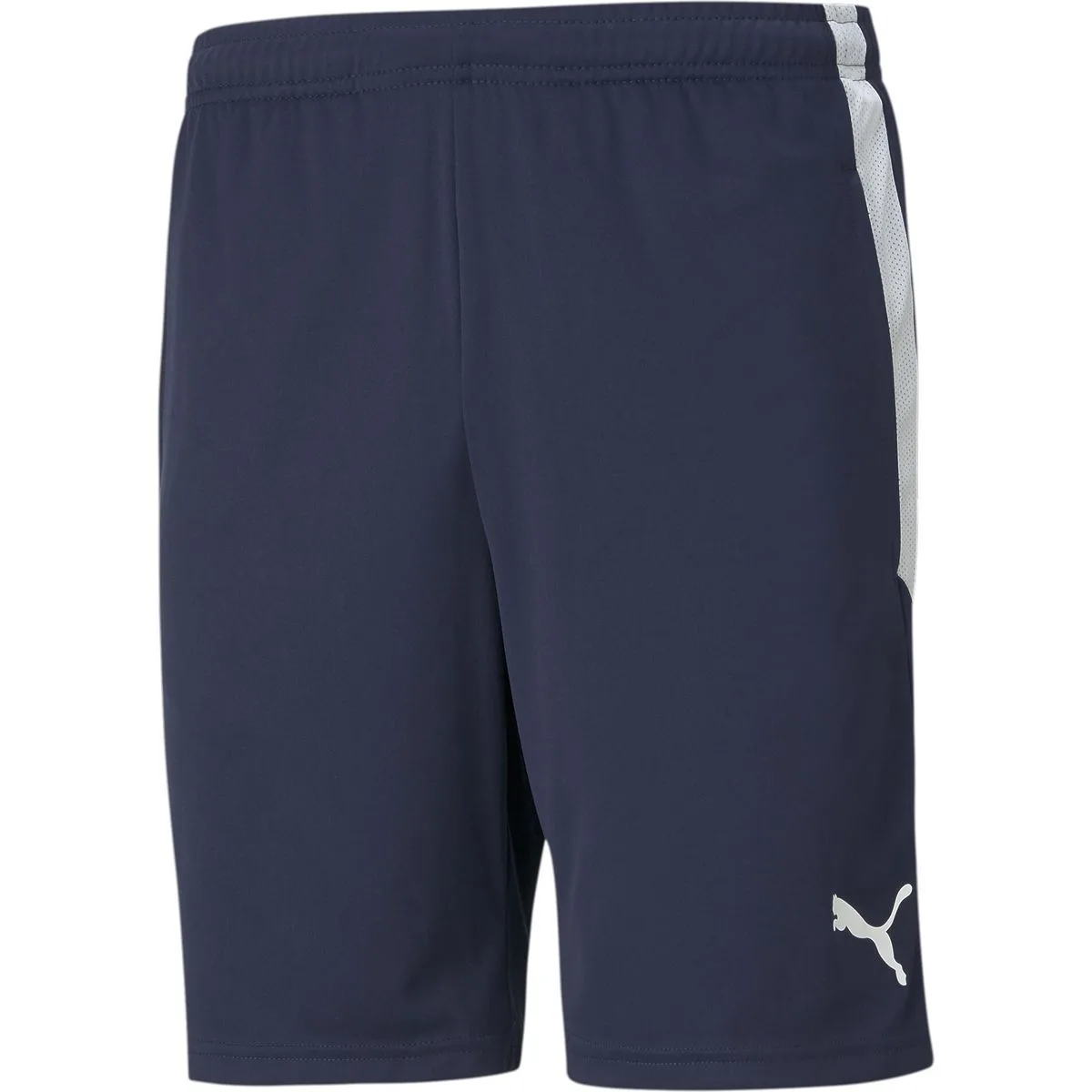 TeamLIGA Training Herren Shorts, blau M