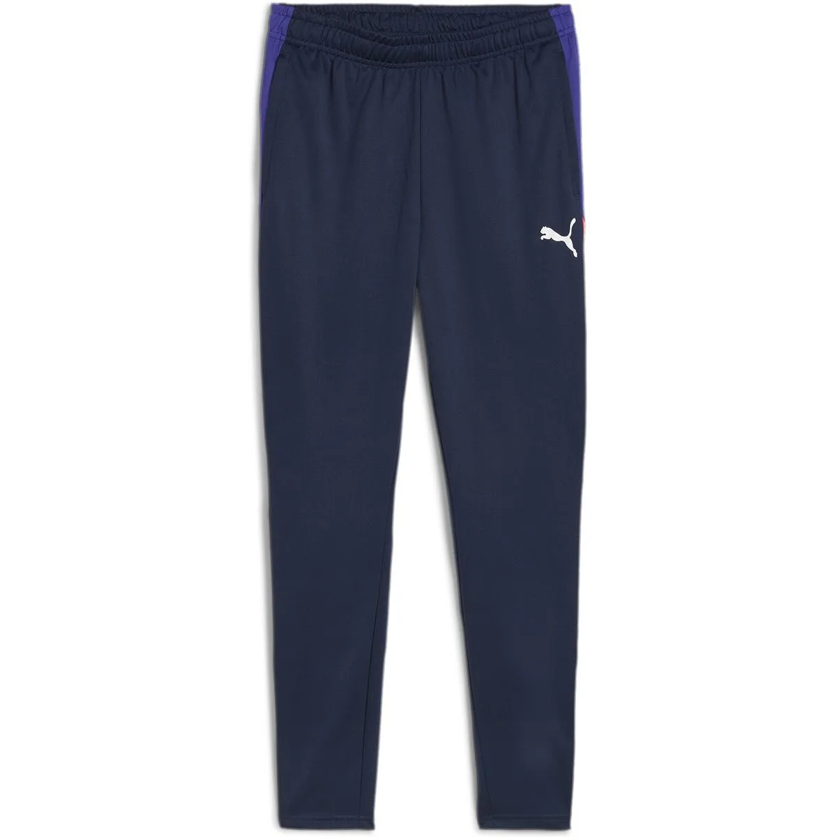 Puma IndividualLIGA Training Herren Sporthose, blau