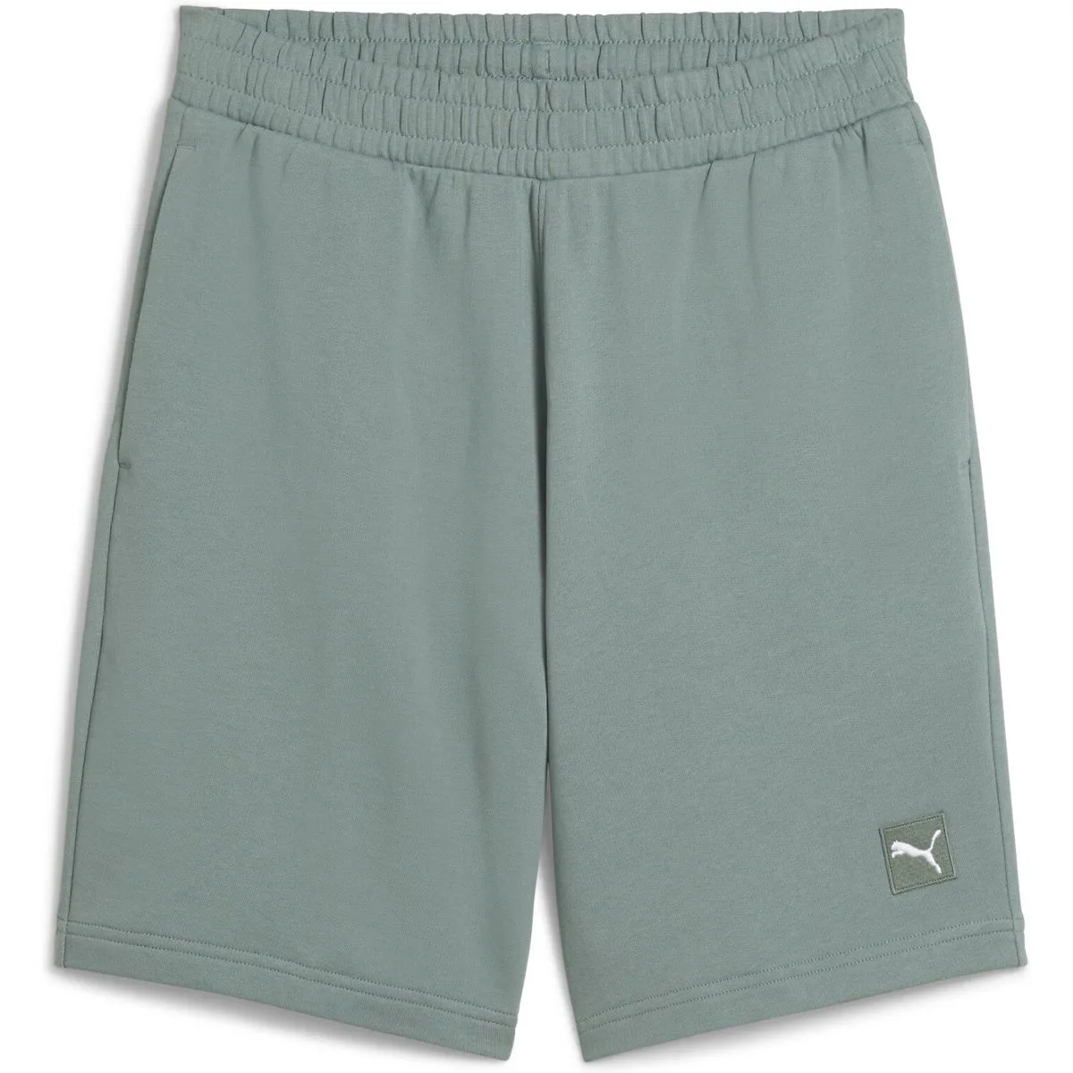 ESS Elevated 9" TR Herren Shorts, grün S