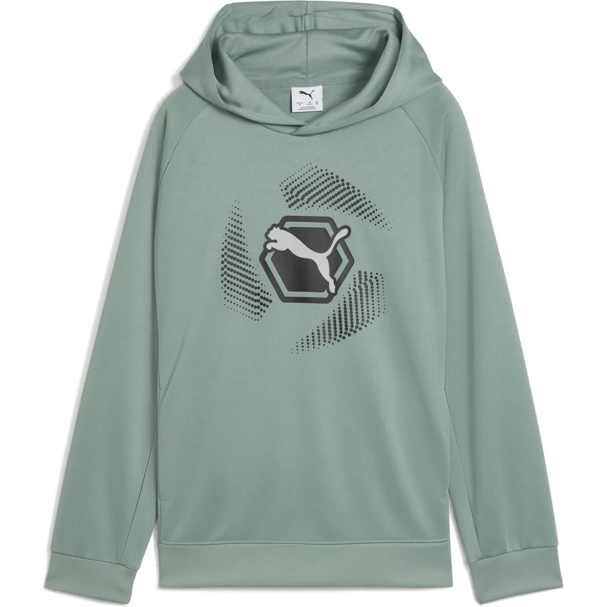 Active Sports Graphic Poly Jungen Kapuzensweater, grün 176