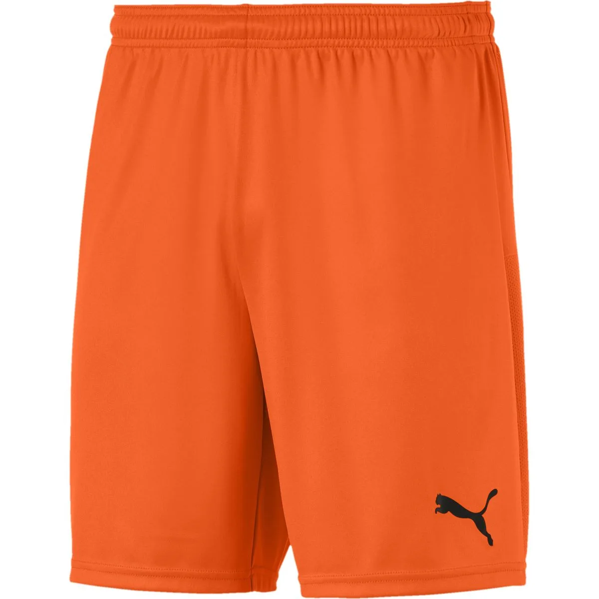 TeamGOAL 23 knit Herren Shorts, orange M