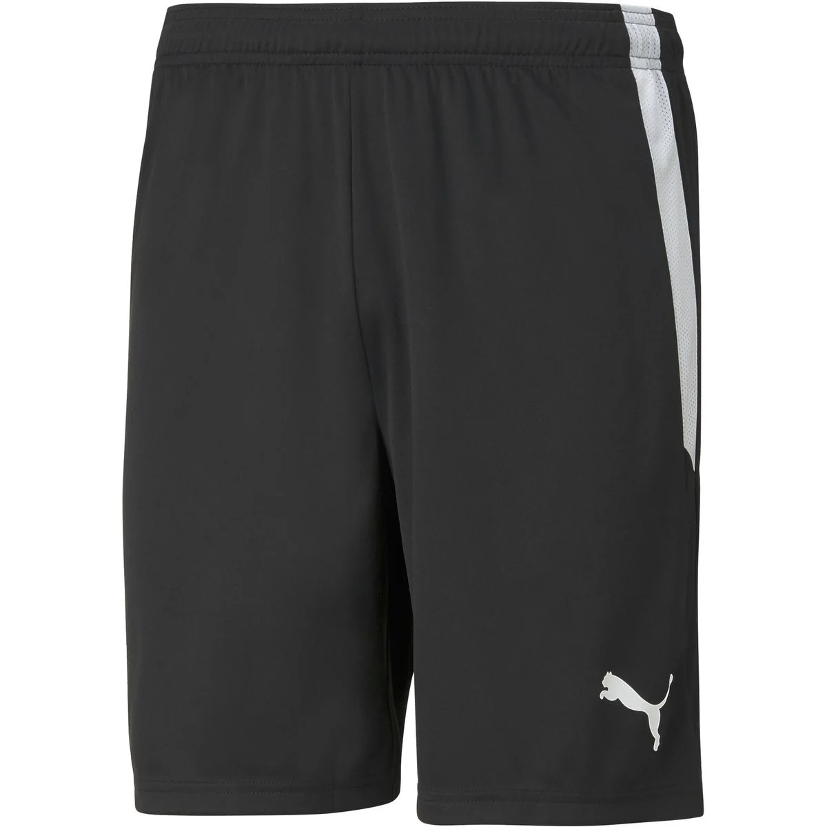 TeamLIGA Herren Shorts, schwarz XL