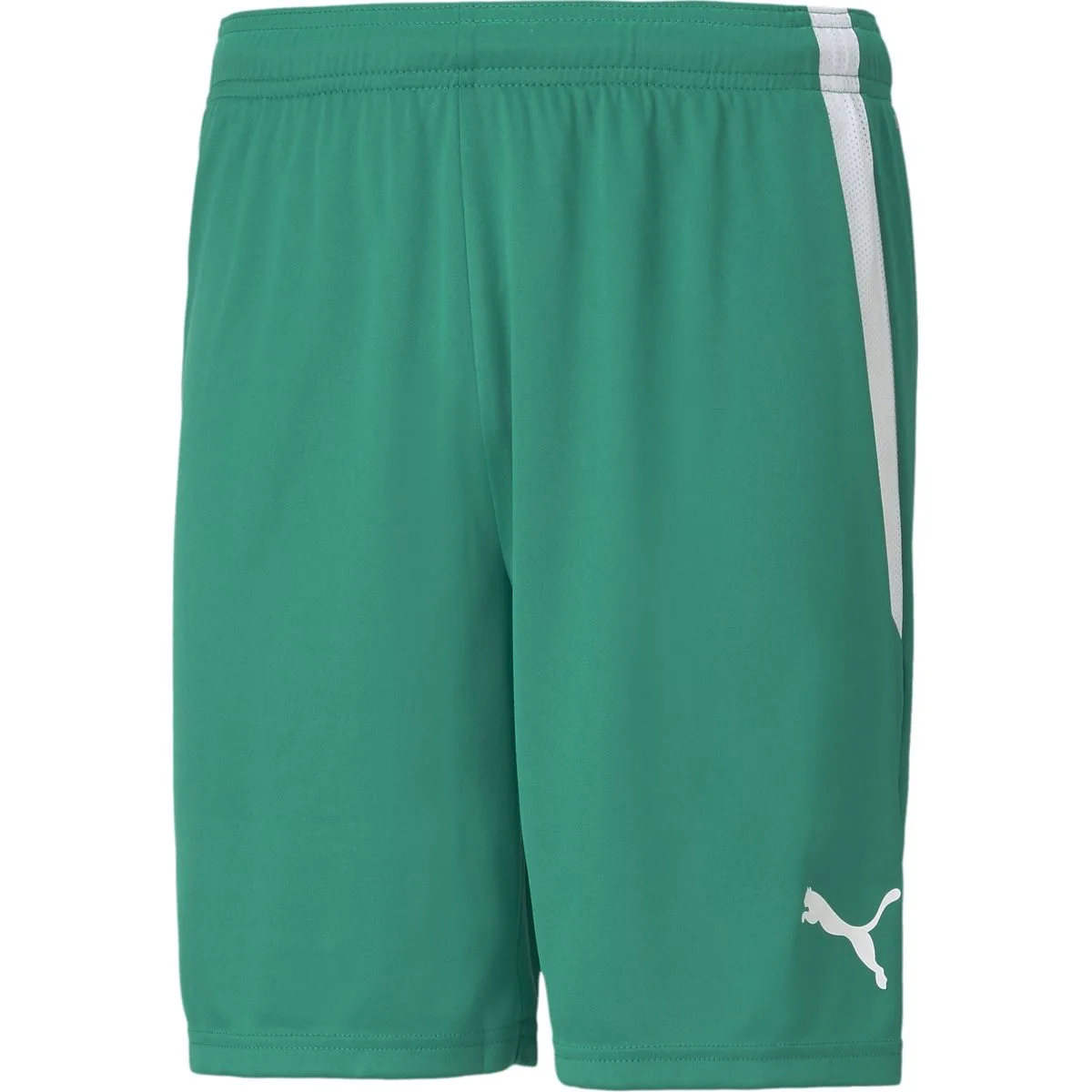 TeamLIGA Herren Shorts, grün XXL