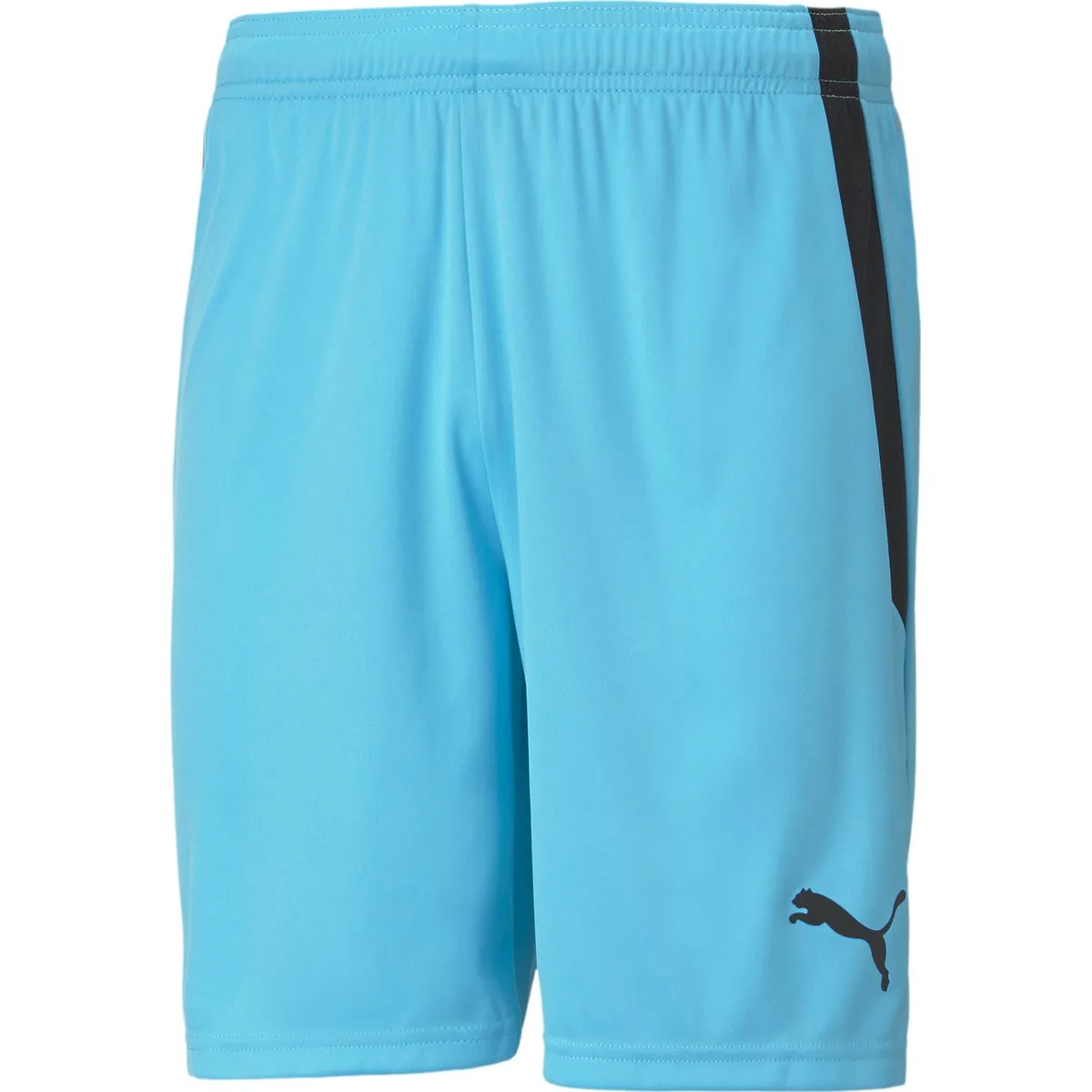 Puma TeamLIGA Herren Shorts, blau L