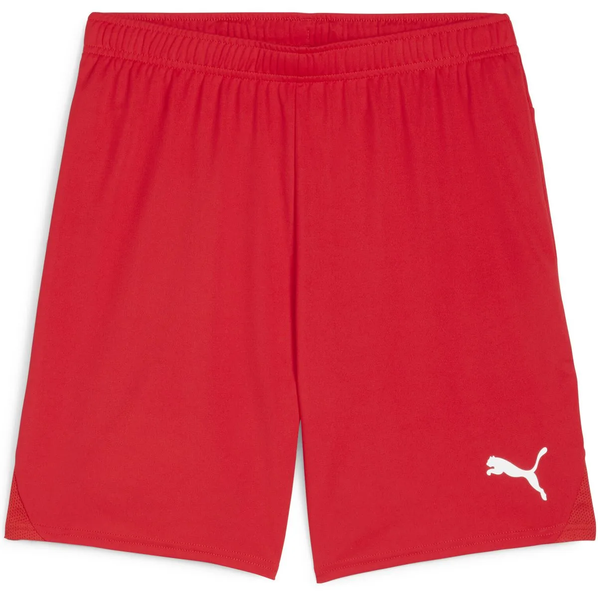 Puma teamGOAL Herren Shorts, rot L