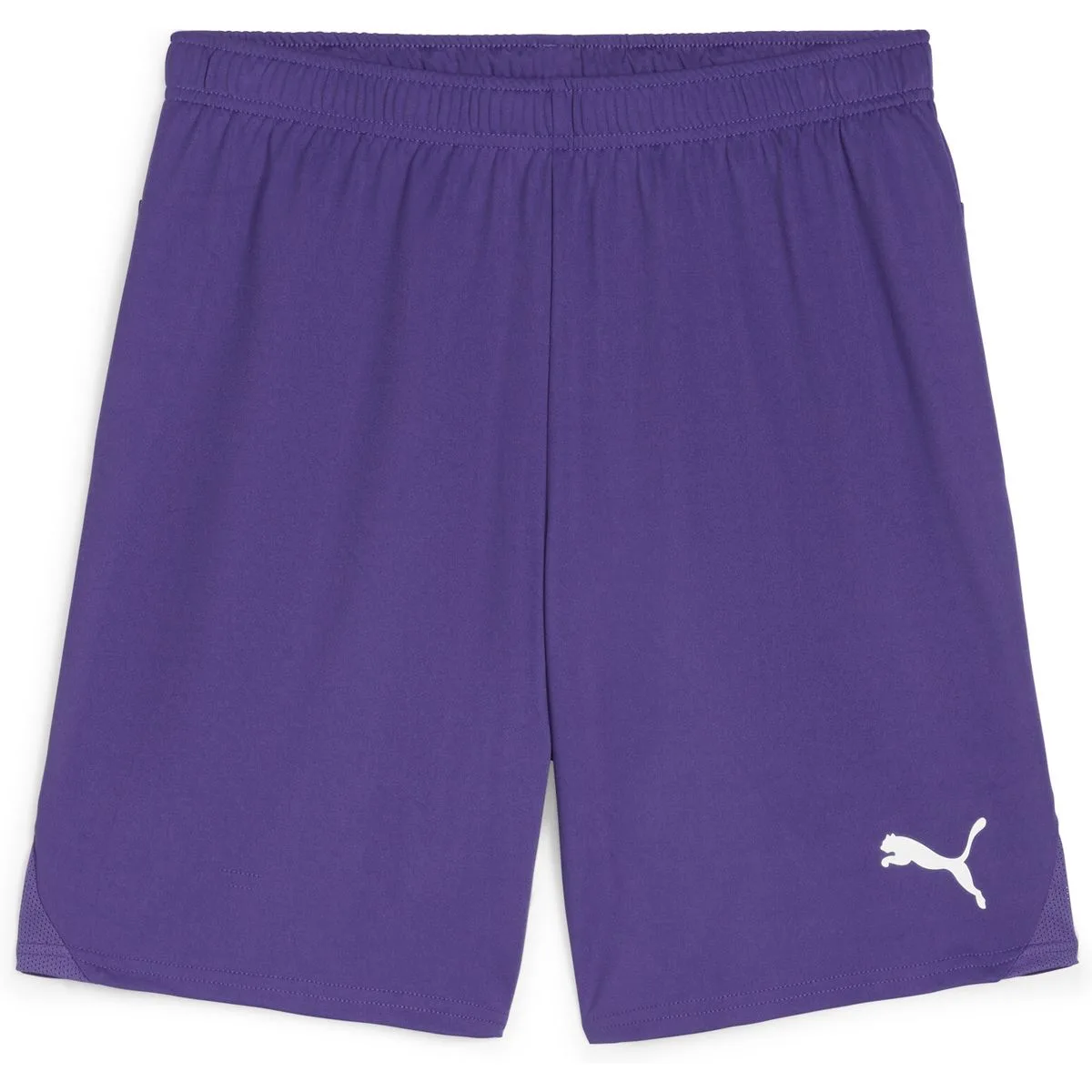 Puma teamGOAL Herren Shorts, lila L