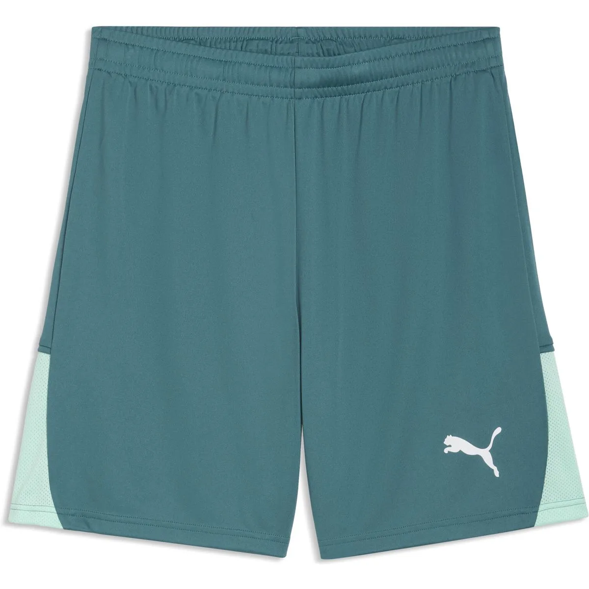 Teamliga26 Herren Shorts, grün XL