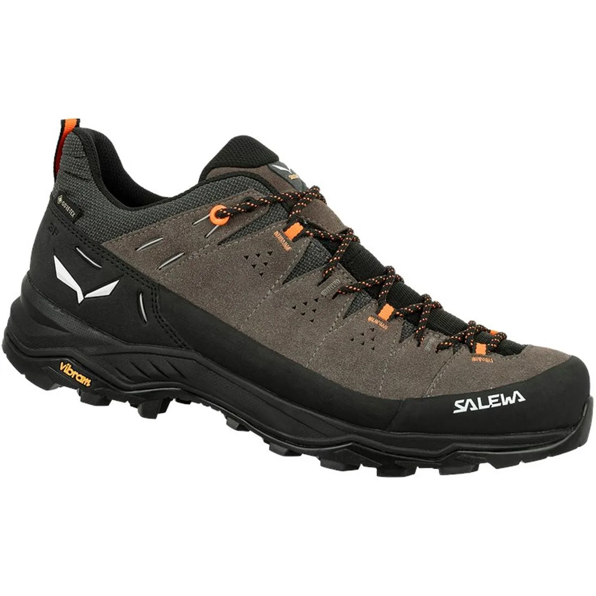 Alp Trainer 2 GTX Herren Trekking-Halbschuhe, braun, Größe 40 40