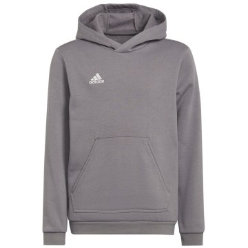 Adidas Entrada 22 Sweat Hoodie Kinder