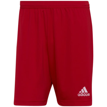 Adidas Entrada 22 Herren Shorts