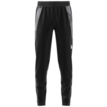 Adidas Tiro24 Competition Training Pant Kids Kinder