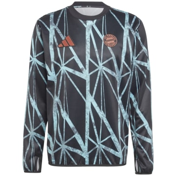 Adidas FC Bayern München 2024/2025 Pre-Match Warm TOP Herren Sweatshirt