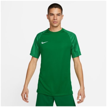 Nike Dri-Fit Academy Men Team Jersey