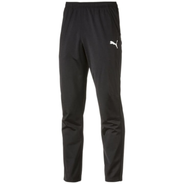 Puma Liga Training Core Herren Sporthose