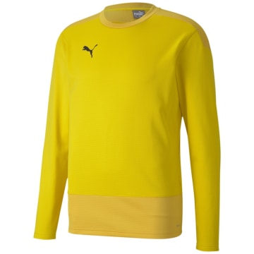 Puma TeamGOAL 23 Training Sweat Men Sweatshirt