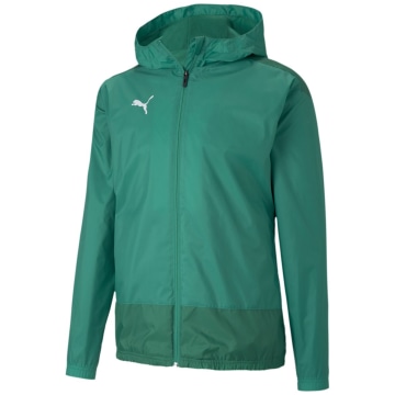 Puma TeamGOAL 23 Training Rain Herren Regenjacke