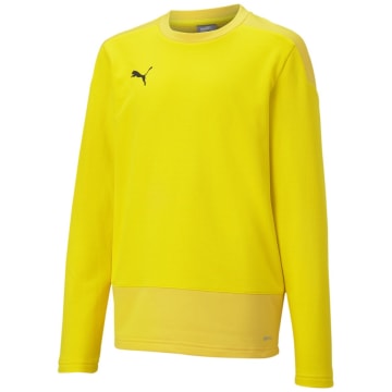 Puma TeamGOAL 23 Training Sweat Kinder Trikot