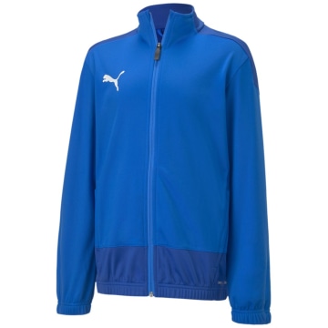 Puma TeamGOAL 23 Training Kinder Fußballjacke