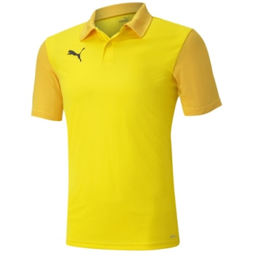 Puma TeamGOAL 23 Sideline Polo Herren Trikot