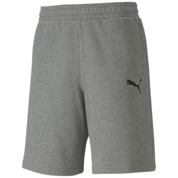 Puma TeamGOAL 23 Casuals Herren Shorts
