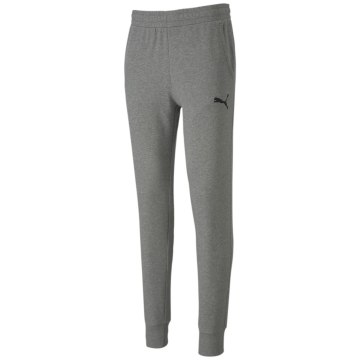 Puma teamGOAL 23 Casuals