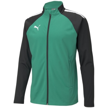 Puma TeamLIGA Training Men Blouson