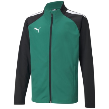 Puma TeamLIGA Training Kids Blouson