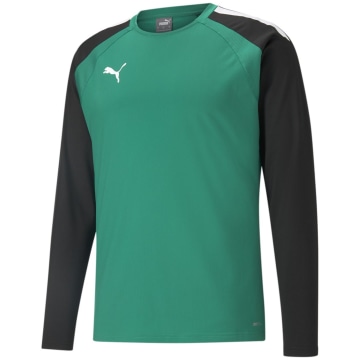 Puma TeamLIGA Training Sweat Men Sweatshirt