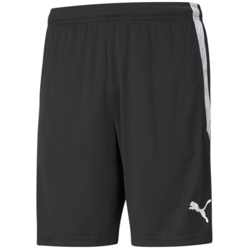 Puma TeamLIGA  Training Men Shorts