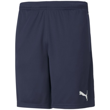 Puma TeamRISE Training Herren Shorts